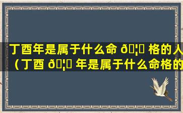 丁酉年是属于什么命 🦟 格的人（丁酉 🦍 年是属于什么命格的人呢）